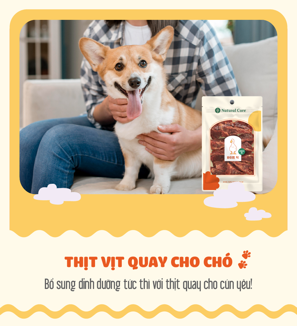 Thịt quay cho chó