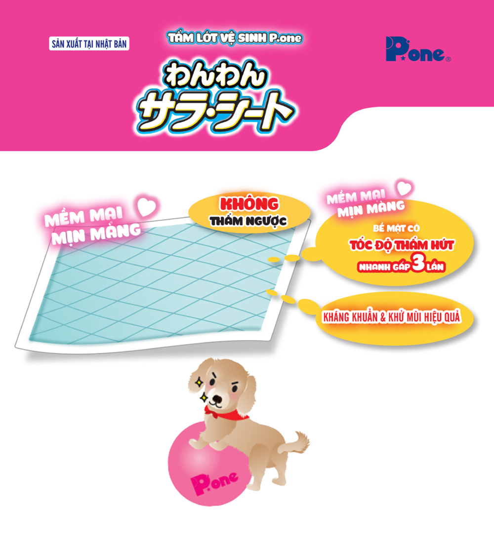Tấm lót vệ sinh P.one