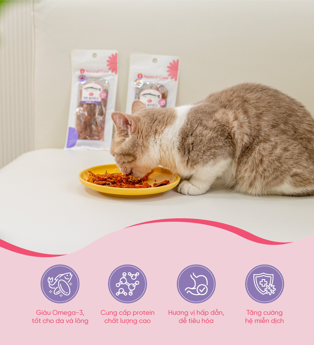 Cá hồi sấy cho mèo