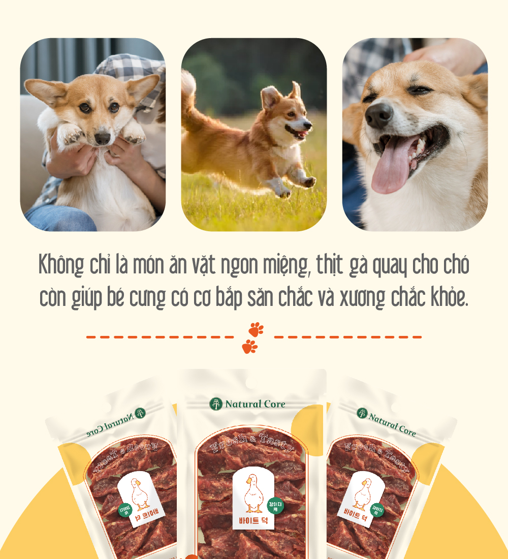 Thịt quay cho chó