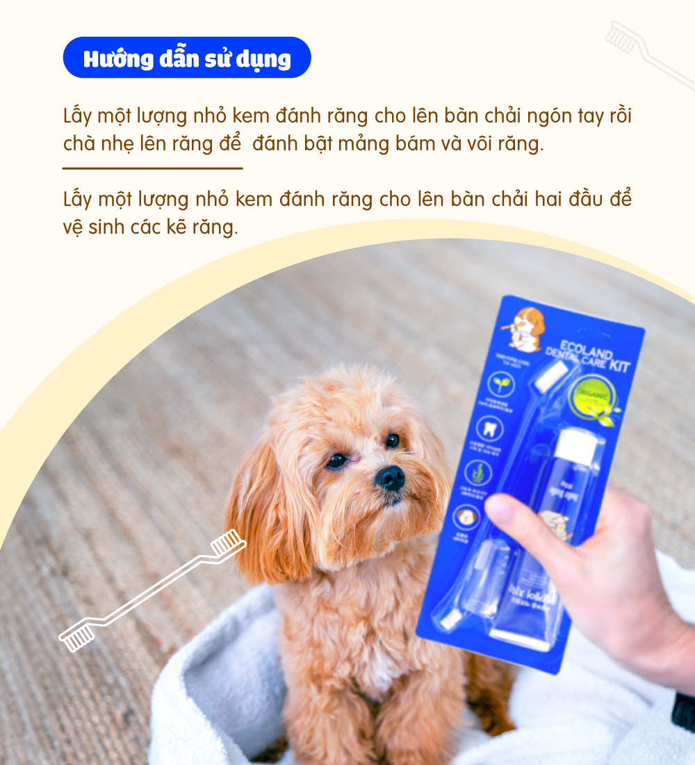 Bộ chăm sóc răng cho chó Budle'Budle