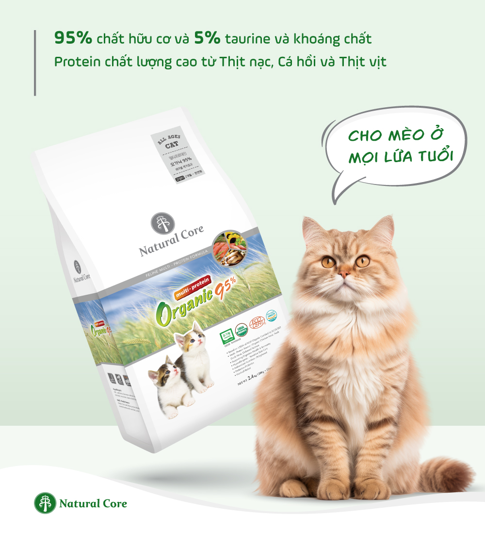 Thức ăn đa đạm cho mèo 95%