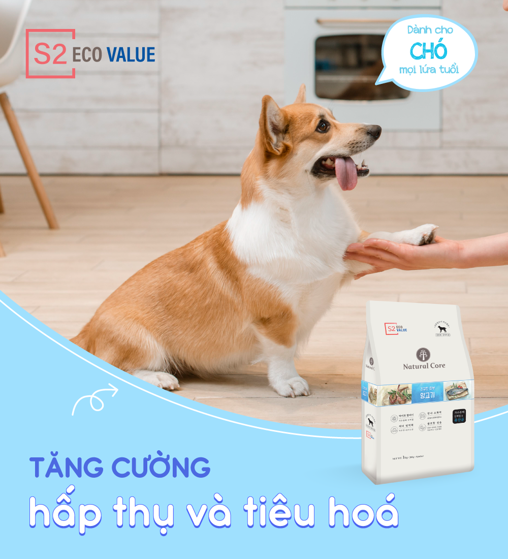Thức ăn cho chó S2 (Thịt cừu)