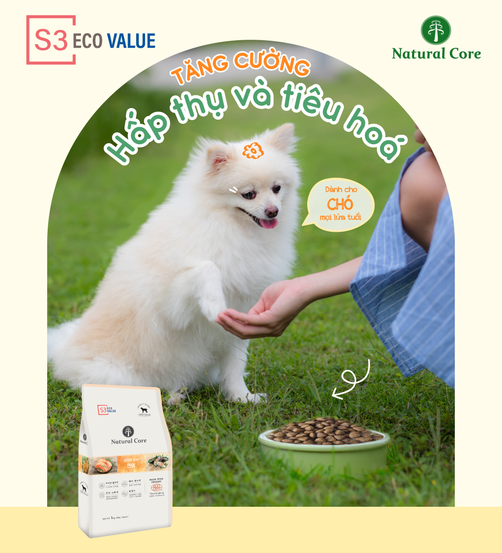 Thức ăn cho chó S3 (Cá hồi)