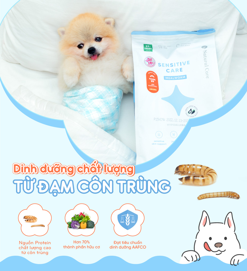Thức ăn cho chó bị dị ứng (Mealworm)