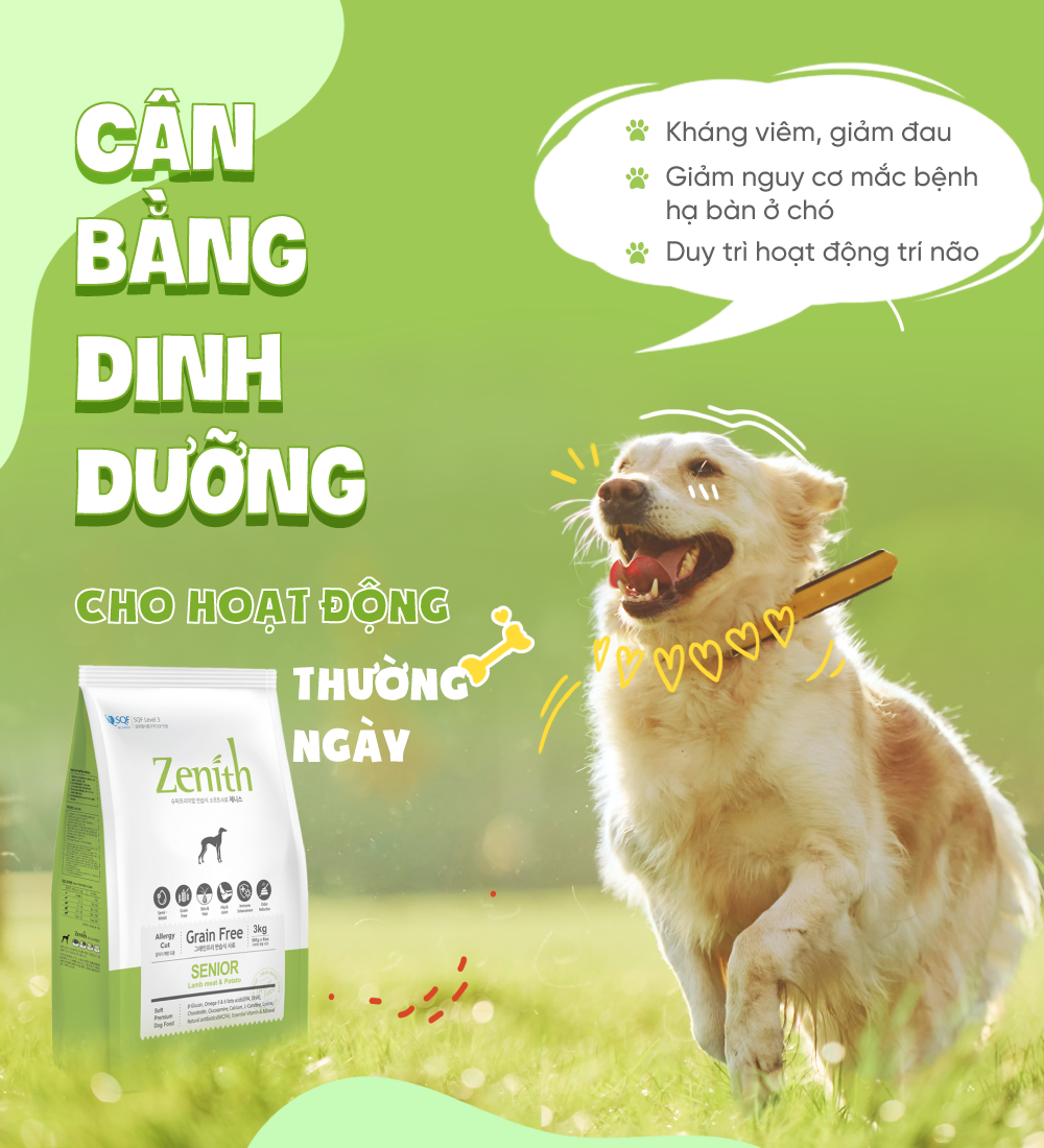 Thức ăn hạt mềm chó già Zenith Senior