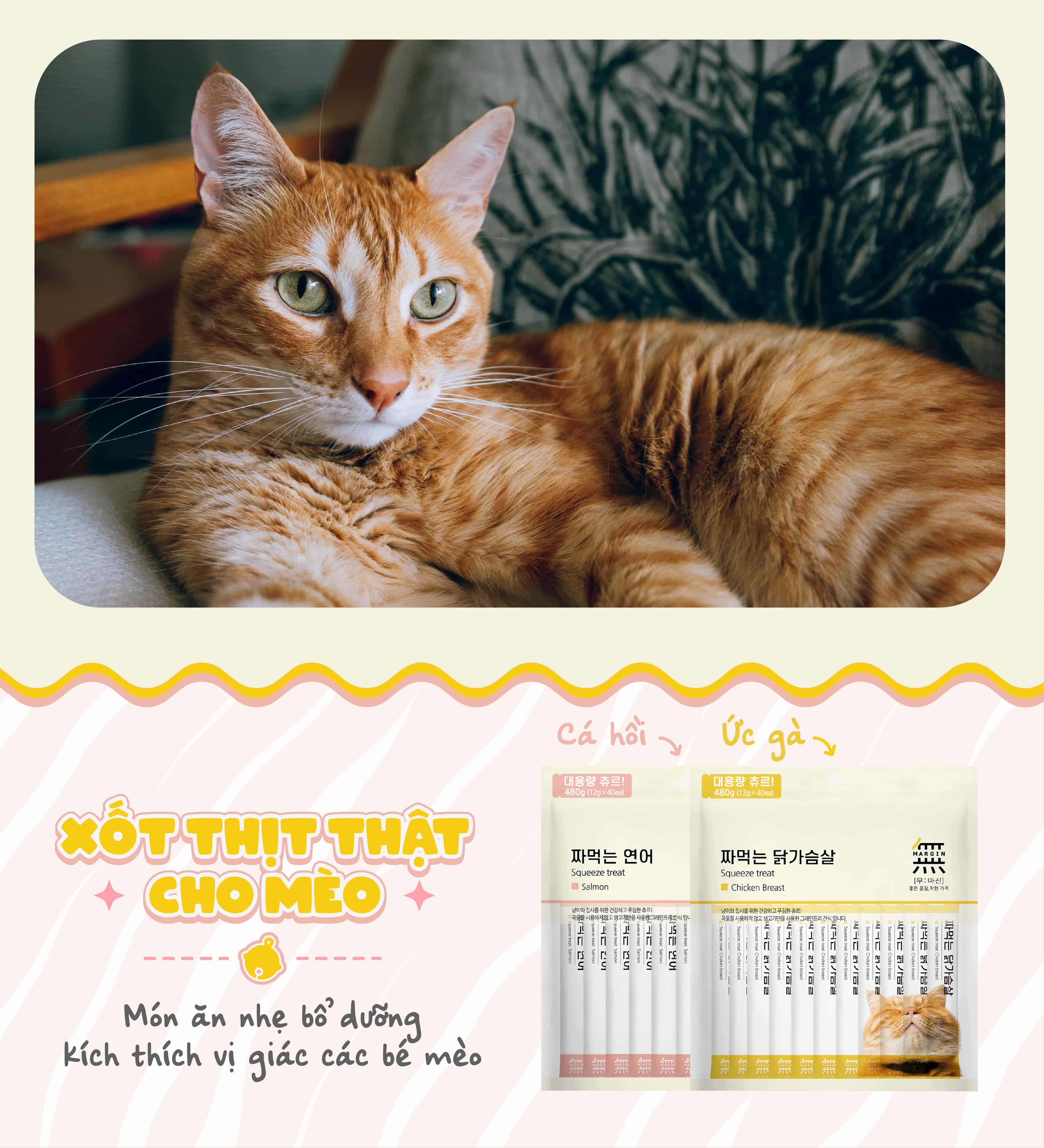 Xốt thịt thật cho mèo Mumargin