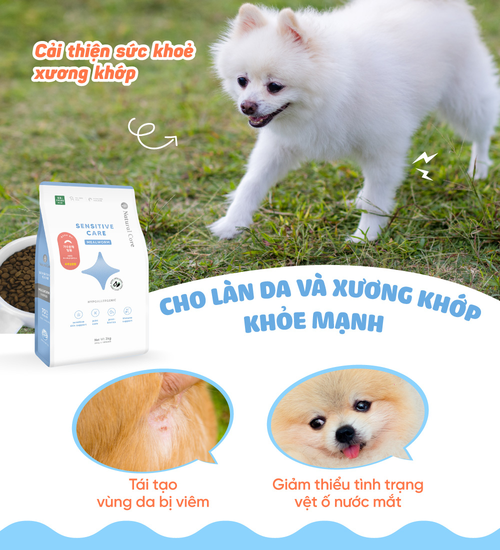 Thức ăn cho chó bị dị ứng (Mealworm)