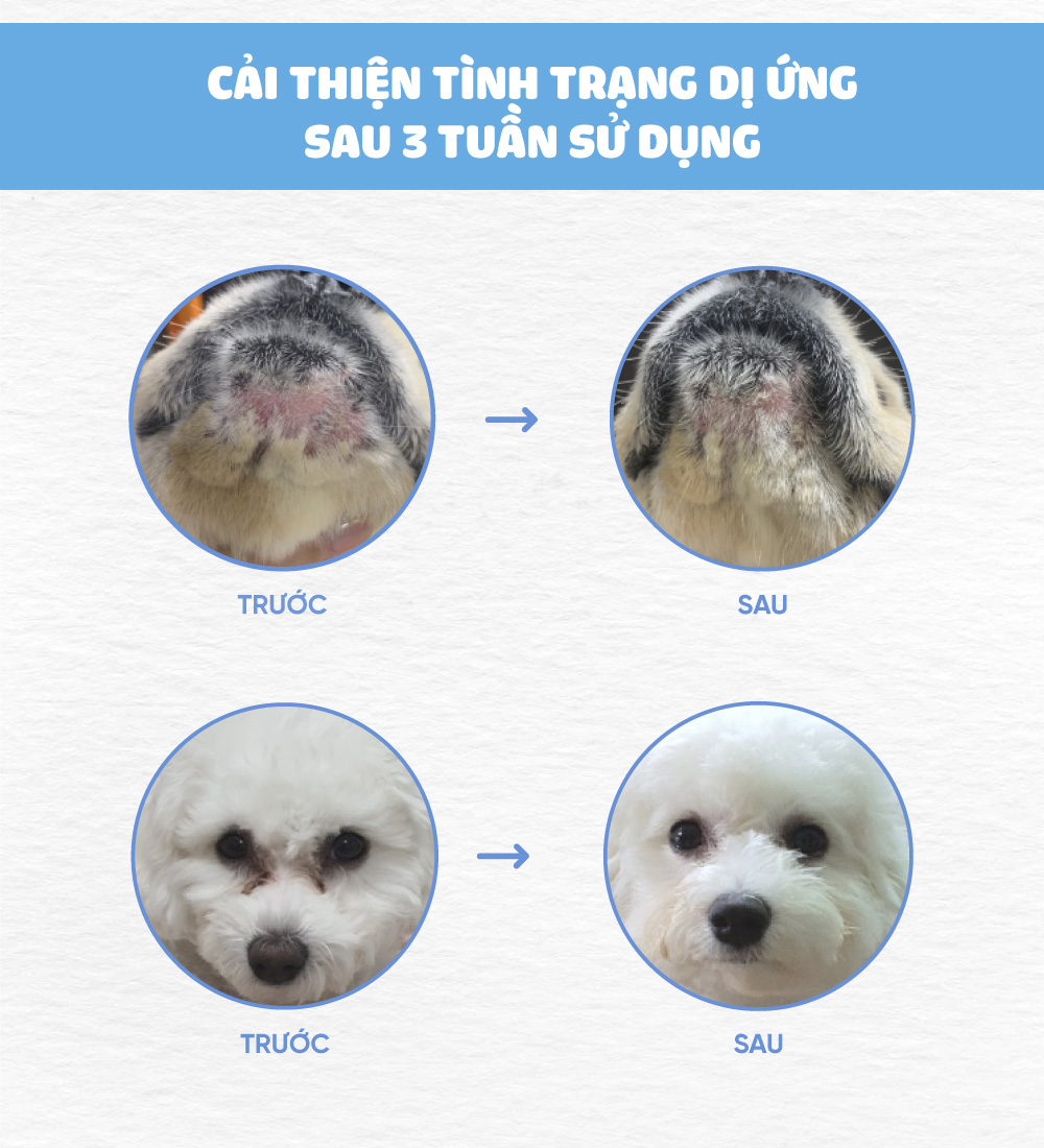 Thức ăn cho chó bị dị ứng (Mealworm)