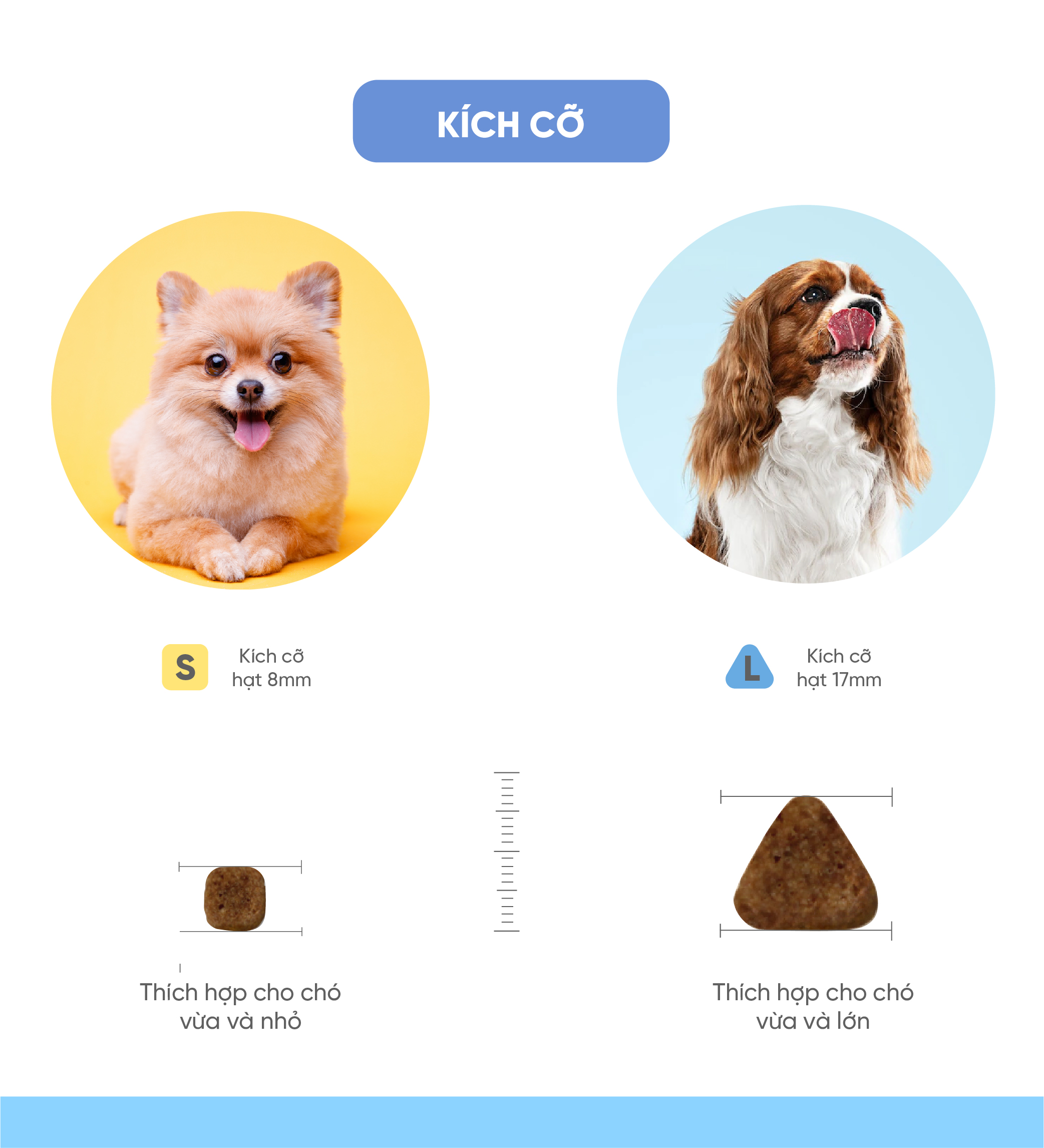 Thức ăn cho chó bị dị ứng (Mealworm)