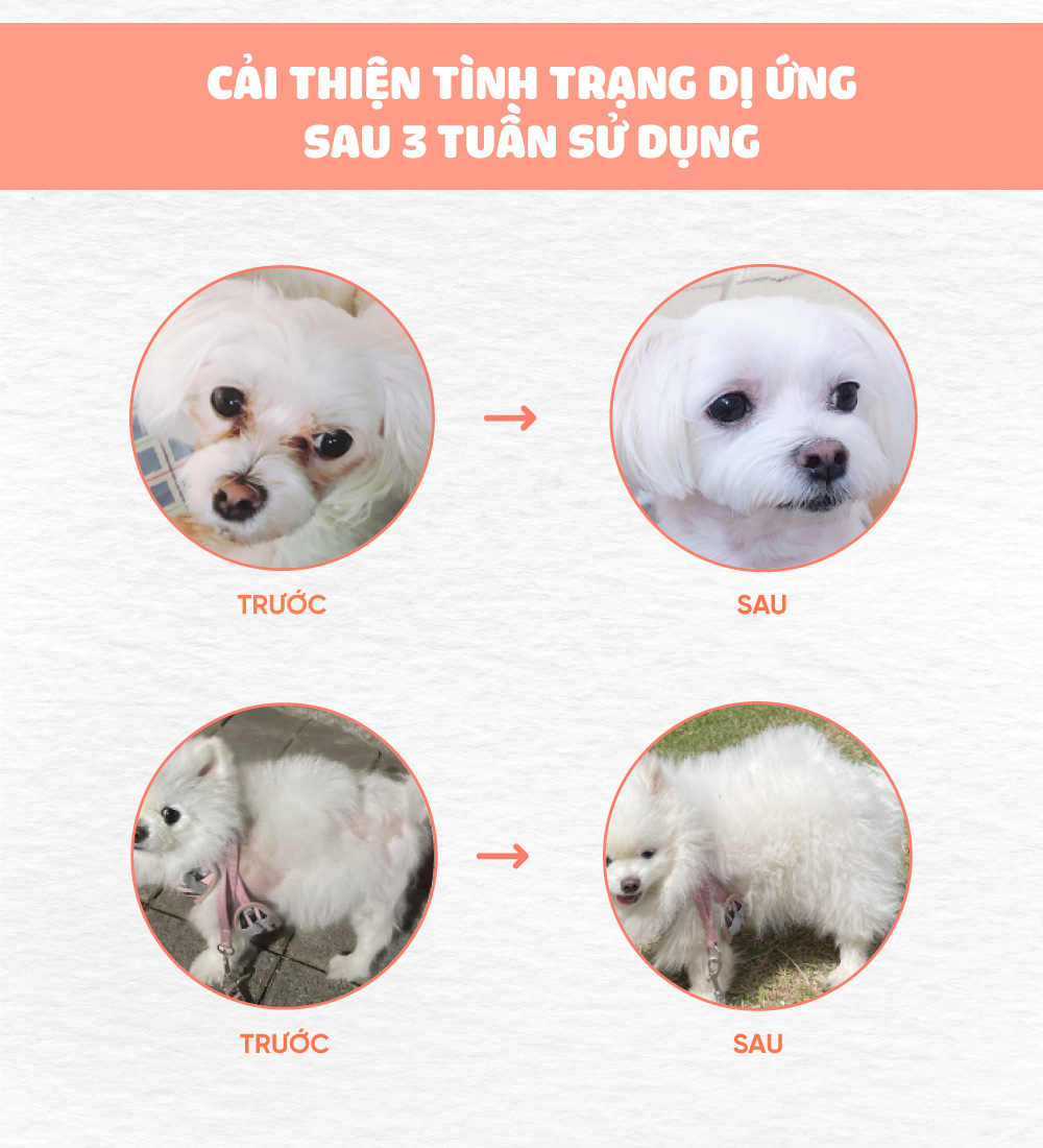 Thức ăn cho chó bị dị ứng (Meat free)