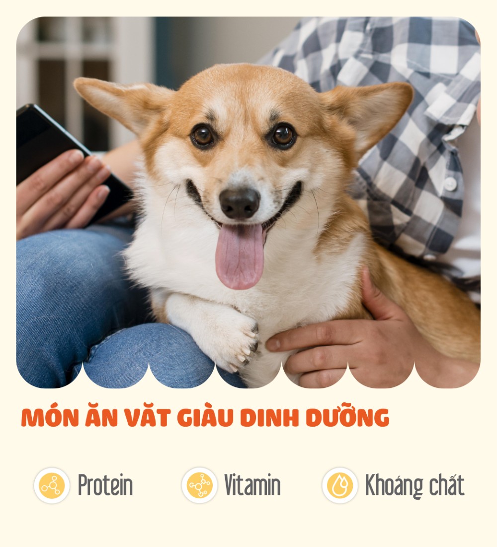 Thịt quay cho chó