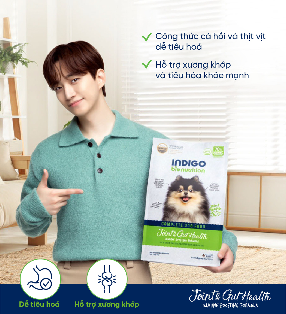 Thức ăn dinh dưỡng chức năng cho chó tăng cường sức khỏe khớp và tiêu hóa