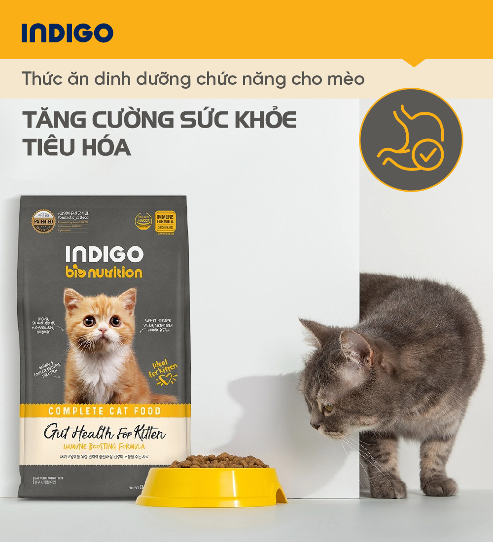 Thức ăn dinh dưỡng chức năng cho mèo con tăng cường sức khỏe tiêu hóa