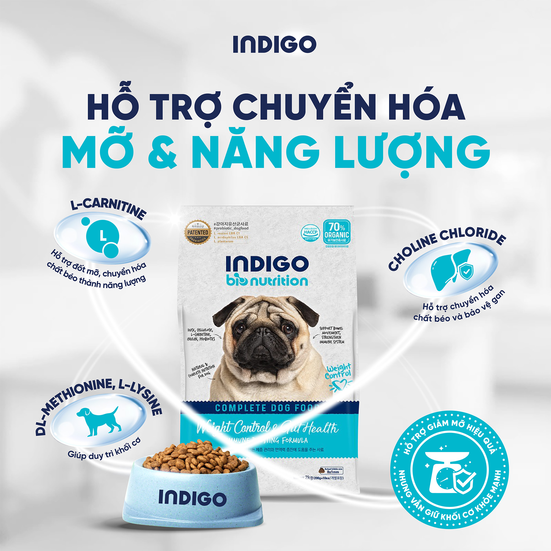 Thức ăn dinh dưỡng chức năng cho chó kiểm soát cân nặng và tăng cường sức khỏe tiêu hóa