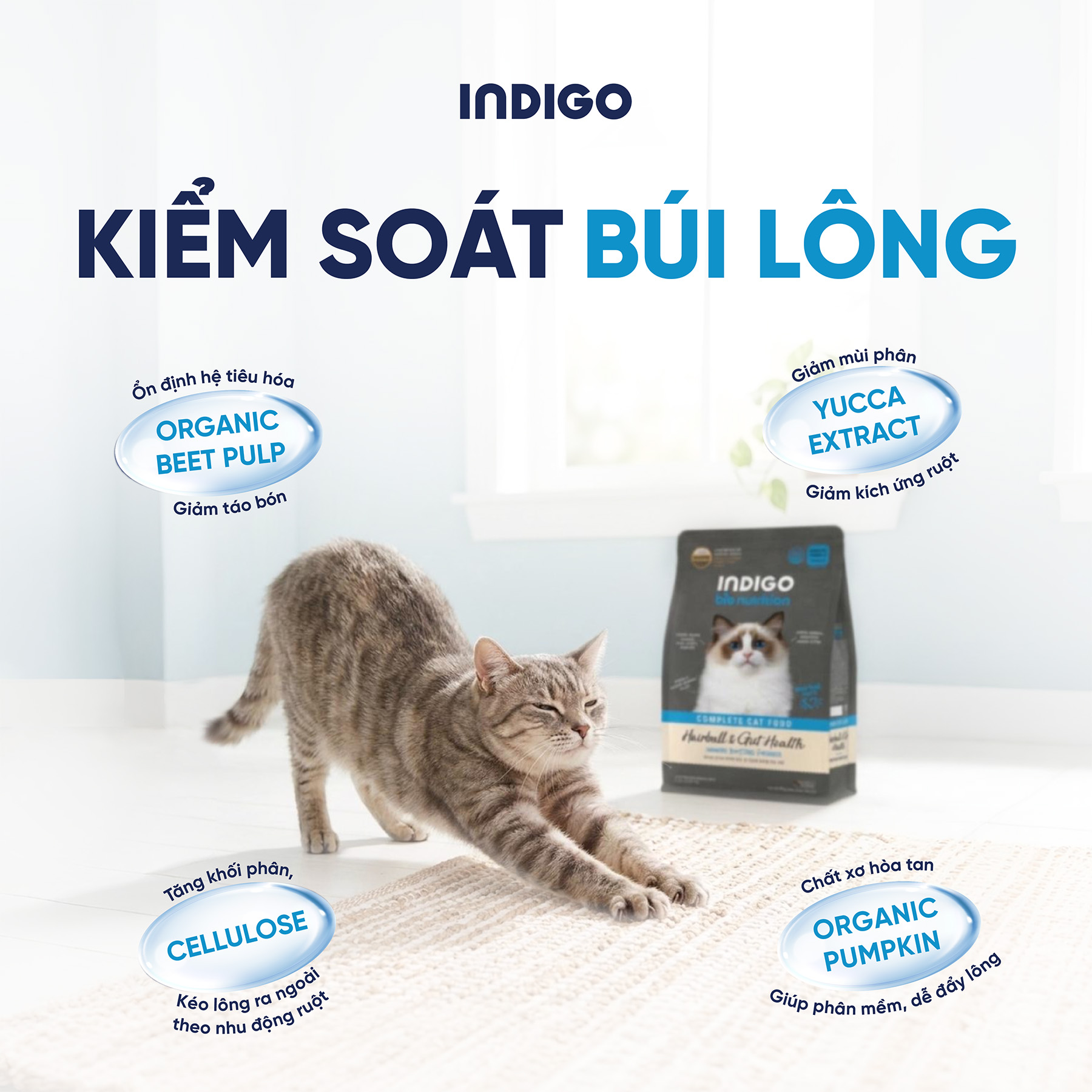 Thức ăn dinh dưỡng chức năng cho mèo kiểm soát búi lông và tăng cường sức khỏe tiêu hóa