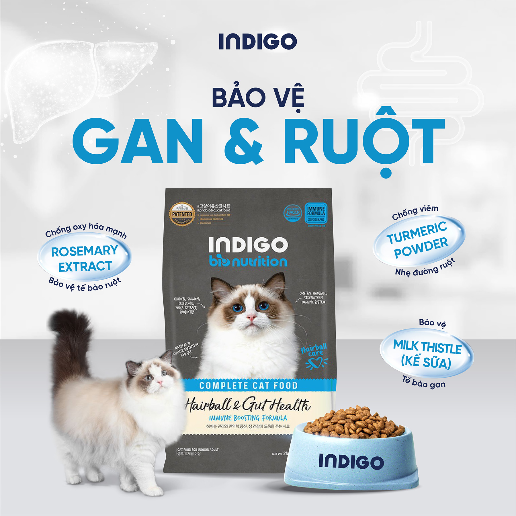 Thức ăn dinh dưỡng chức năng cho mèo kiểm soát búi lông và tăng cường sức khỏe tiêu hóa