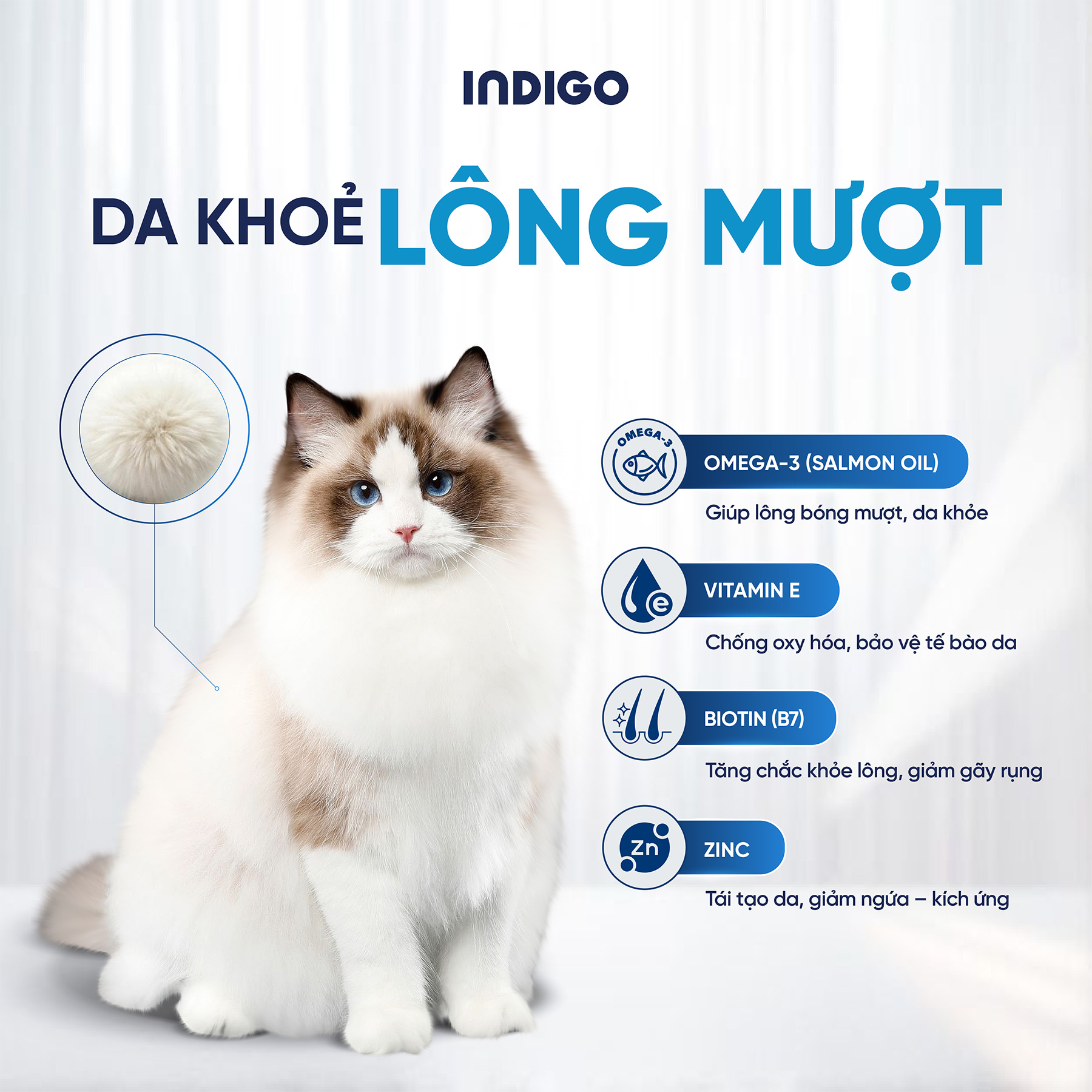 Thức ăn dinh dưỡng chức năng cho mèo kiểm soát búi lông và tăng cường sức khỏe tiêu hóa
