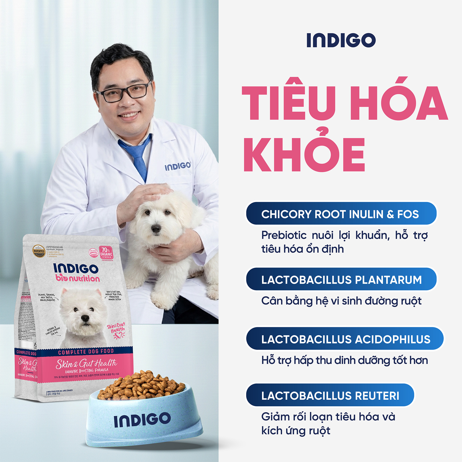 Thức ăn dinh dưỡng chức năng cho chó tăng cường sức khỏe da và tiêu hóa