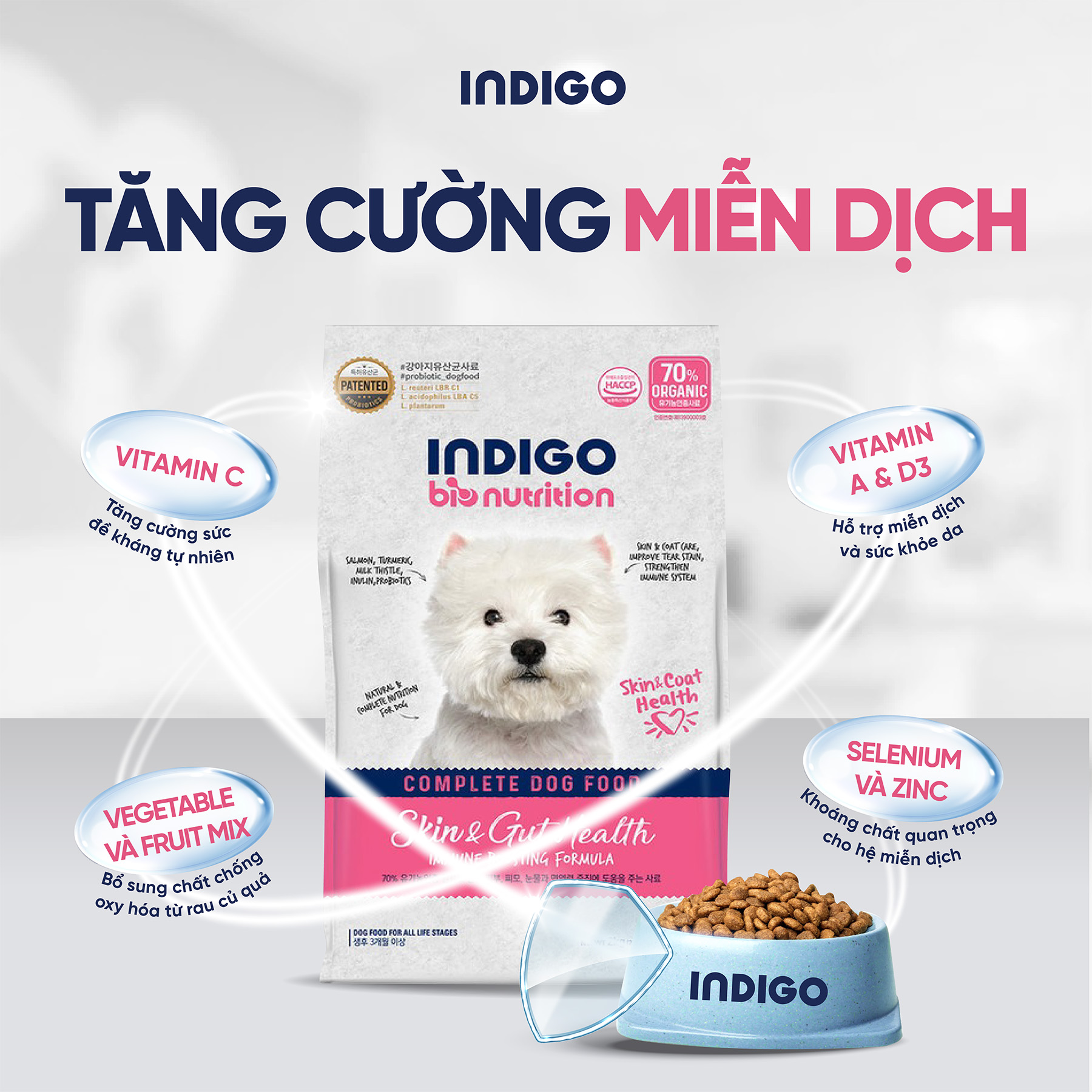 Thức ăn dinh dưỡng chức năng cho chó tăng cường sức khỏe da và tiêu hóa