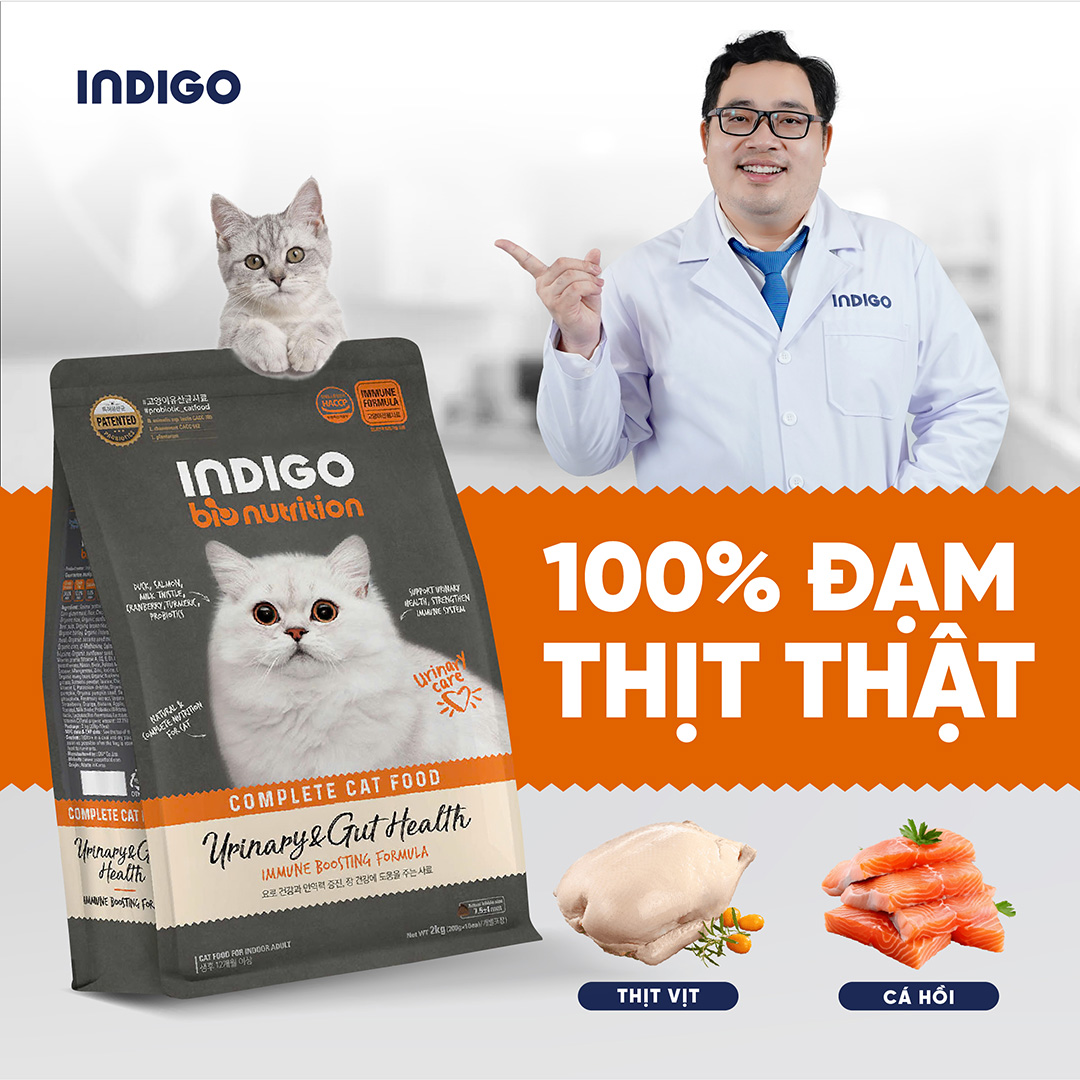 Thức ăn dinh dưỡng chức năng cho mèo tăng cường sức khỏe tiết niệu và tiêu hóa