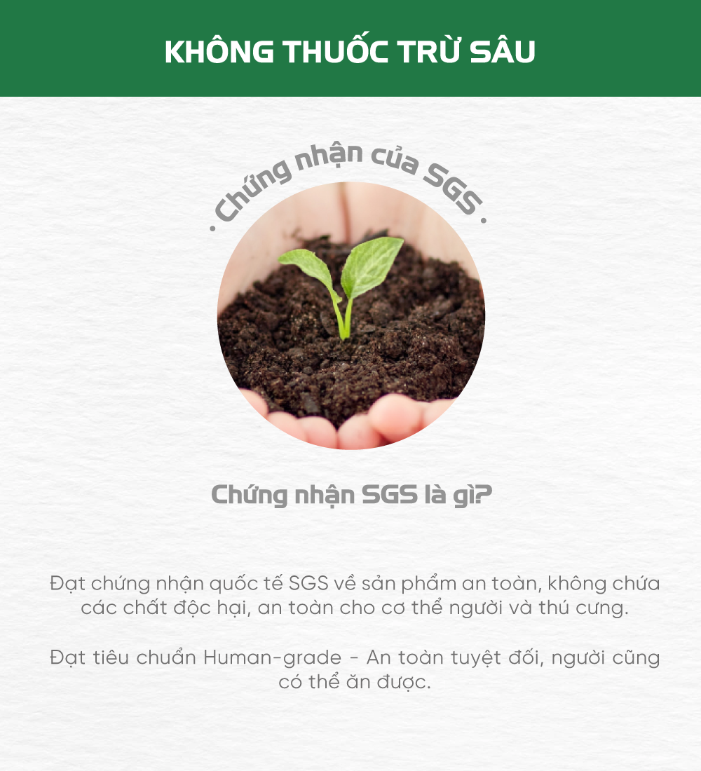 Thịt cuộn sụn bò