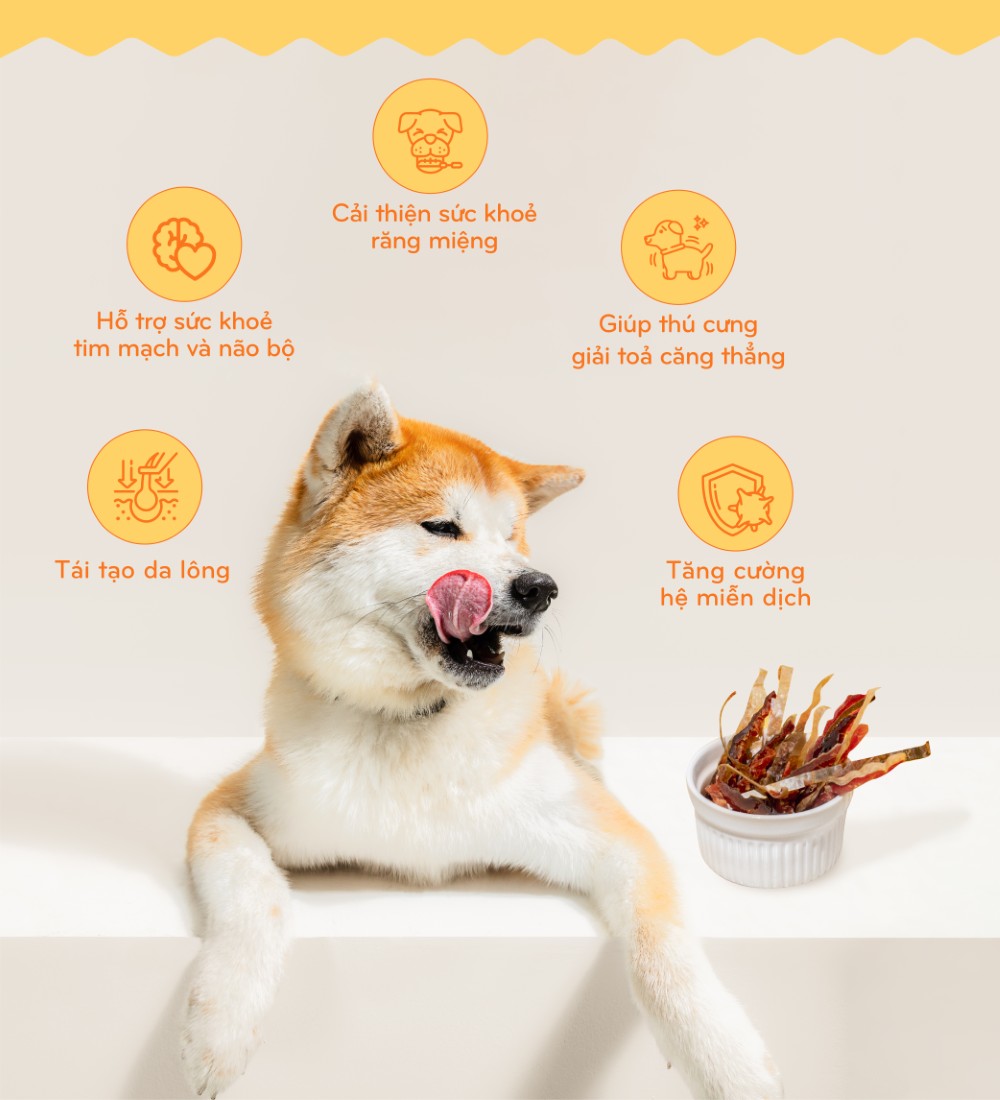 Cá hồi sấy cho chó