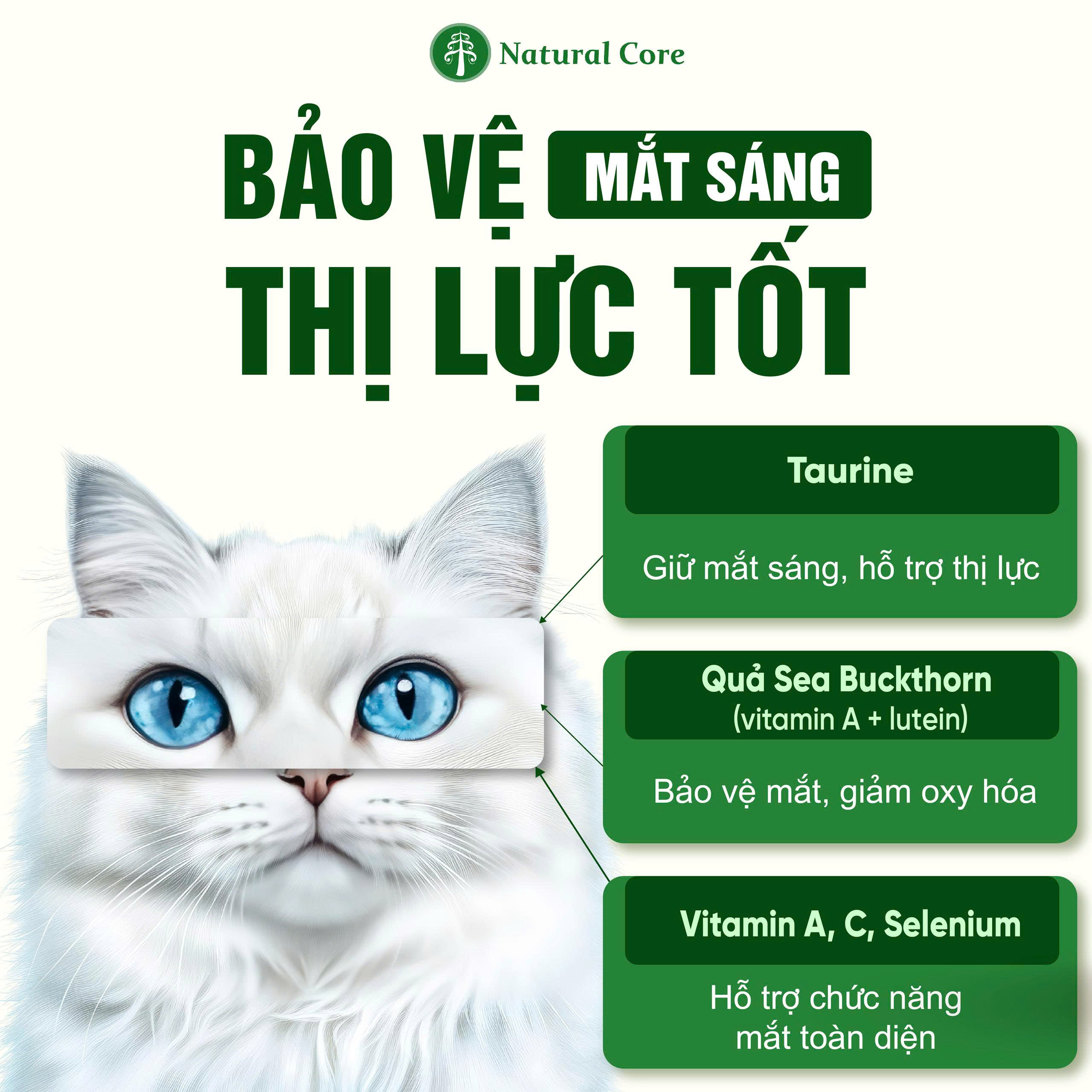 Thức ăn cho mèo Thịt gà & Cá hồi