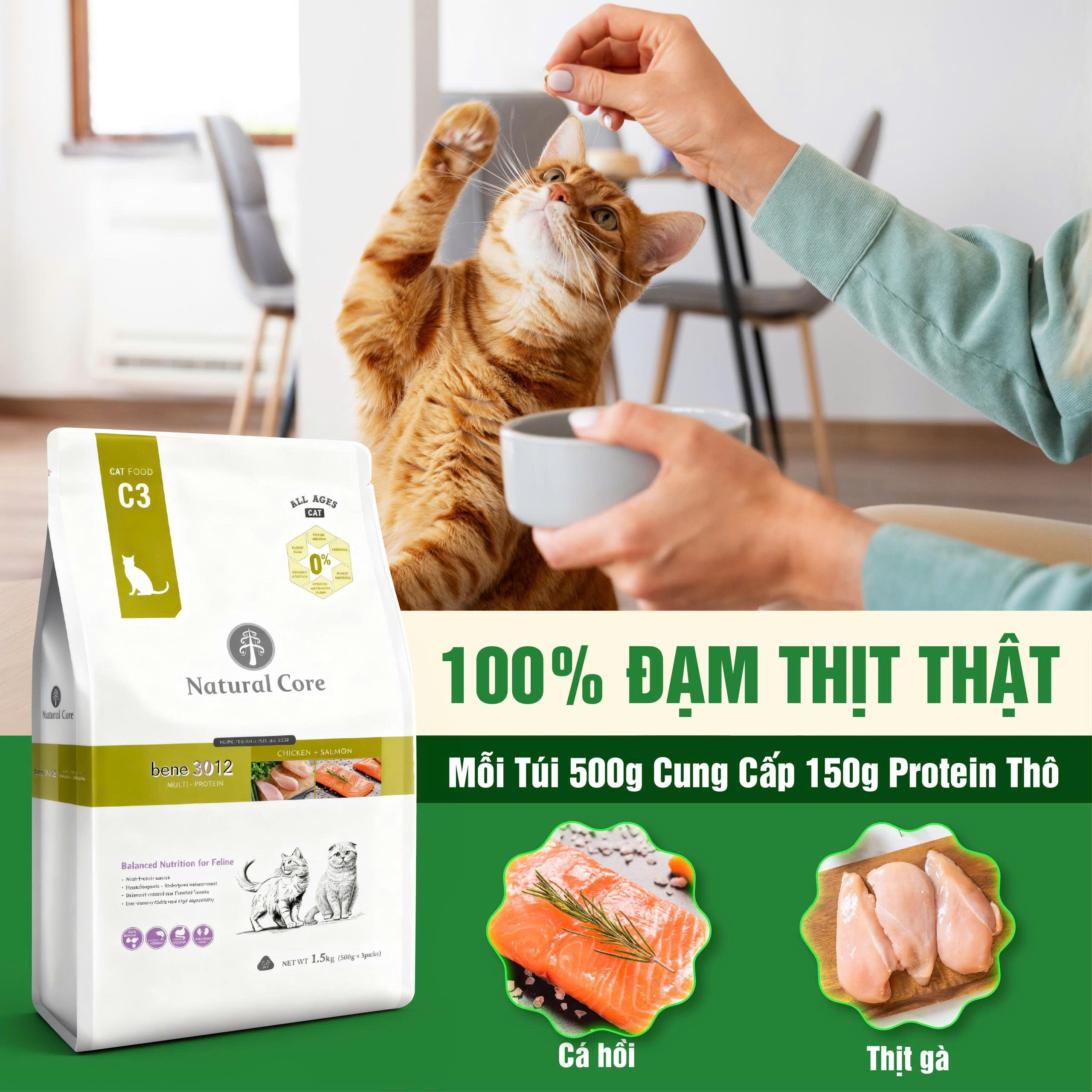 Thức ăn cho mèo Thịt gà & Cá hồi