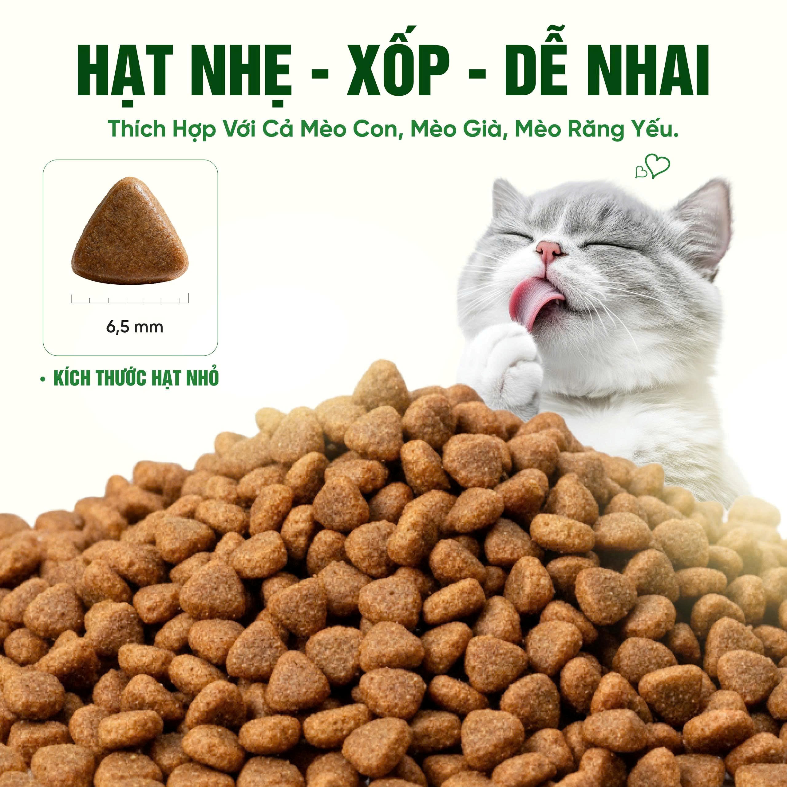 Thức ăn cho mèo Thịt gà & Cá hồi