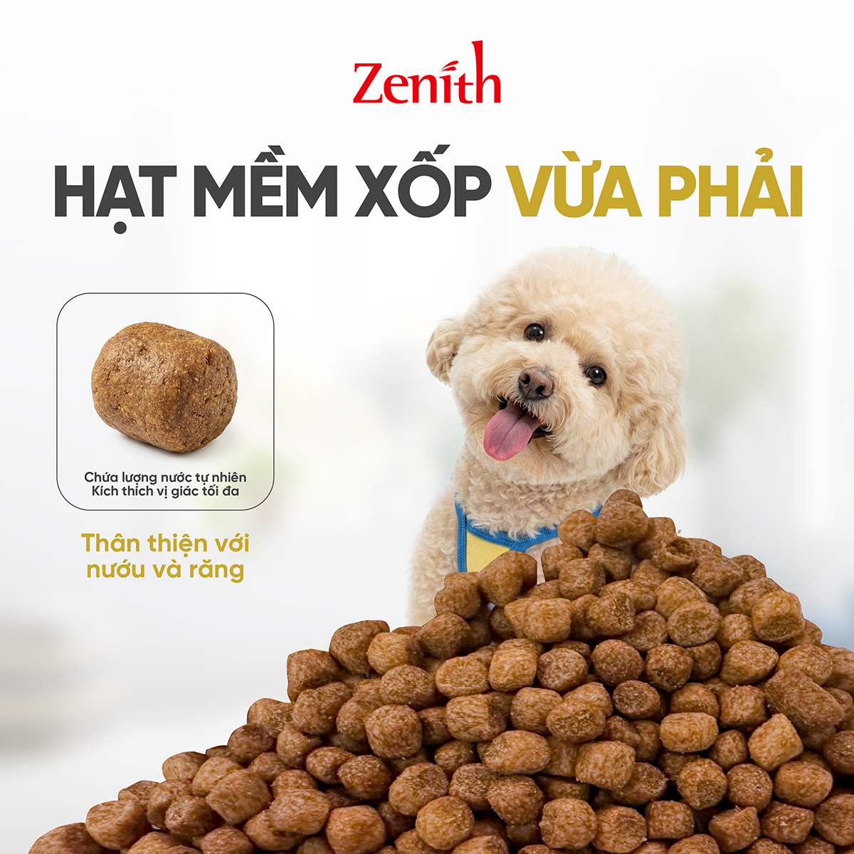 Thức ăn hạt mềm Zenith chó giống nhỏ