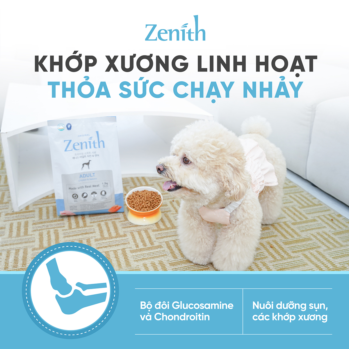 Thức ăn hạt mềm Zenith Thịt gà & cá hồi cho chó trưởng thành