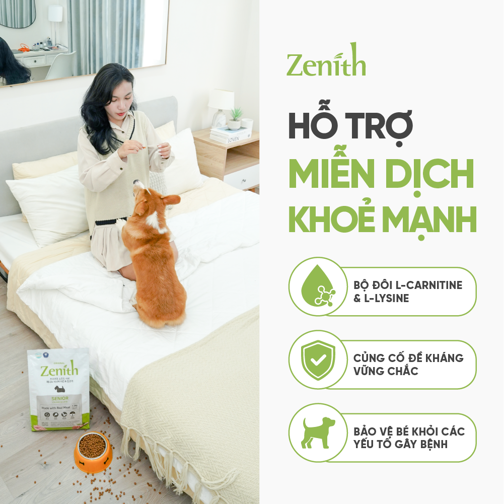 Thức ăn hạt mềm Zenith chó già