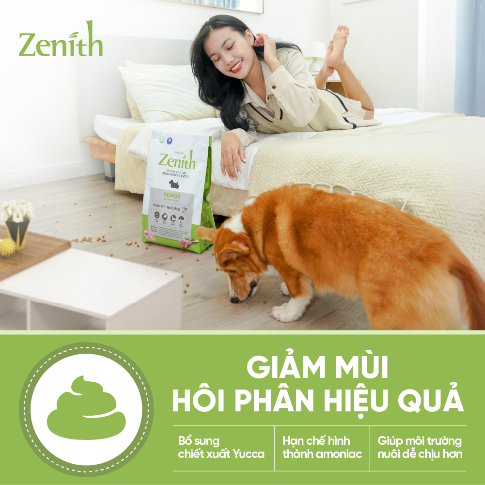Thức ăn hạt mềm Zenith chó già
