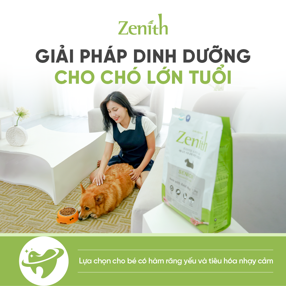 Thức ăn hạt mềm Zenith chó già