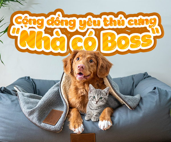 Tham gia cộng đồng