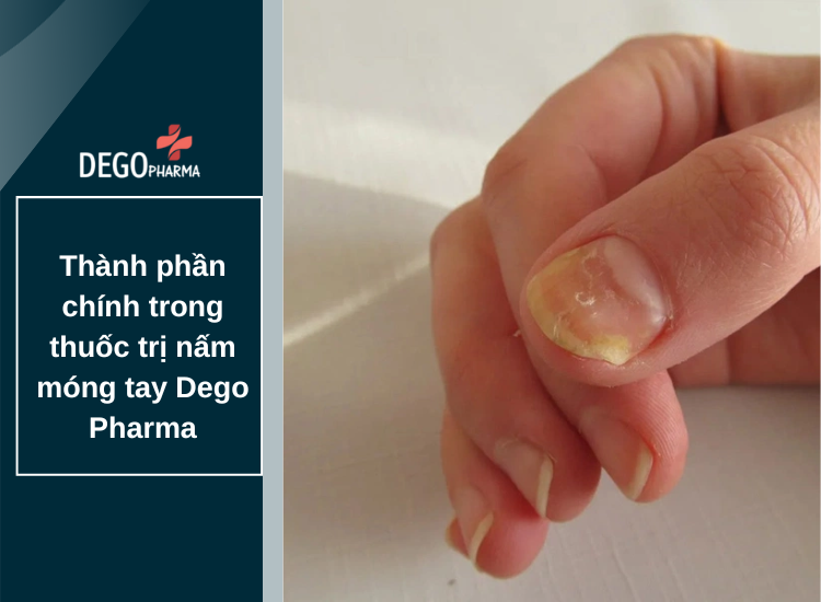 Thành phần chính trong thuốc trị nấm móng tay Dego Pharma