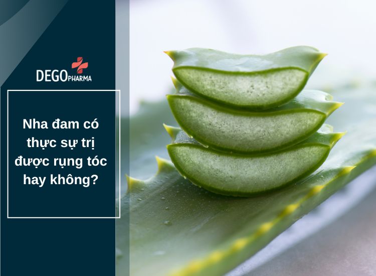 Nha đam có thực sự trị được rụng tóc hay không?