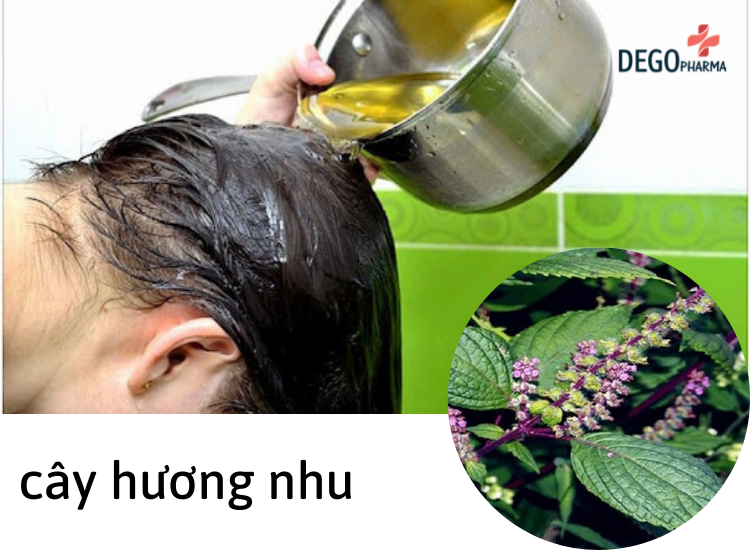 chữa nấm da đầu bằng dân gian