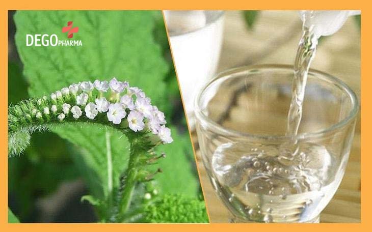 Dùng cây vòi voi với rượu