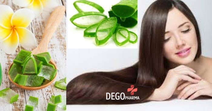 trị rụng tóc bằng nha đam	