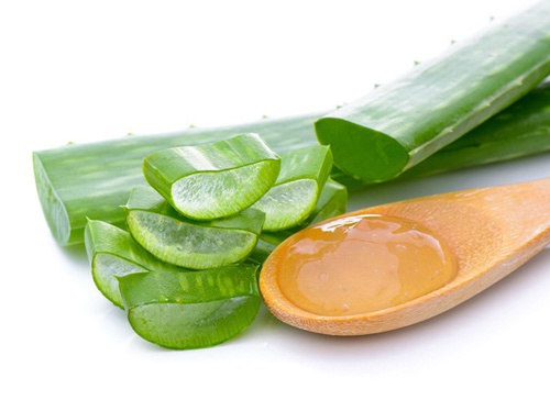 trị rụng tóc bằng nha đam