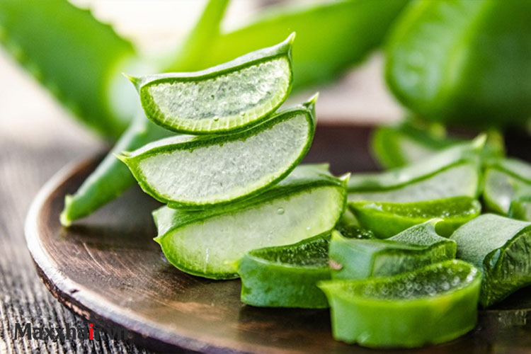 trị rụng tóc bằng nha đam