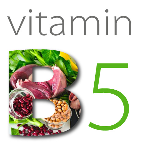 Công dụng của Vitamin B5