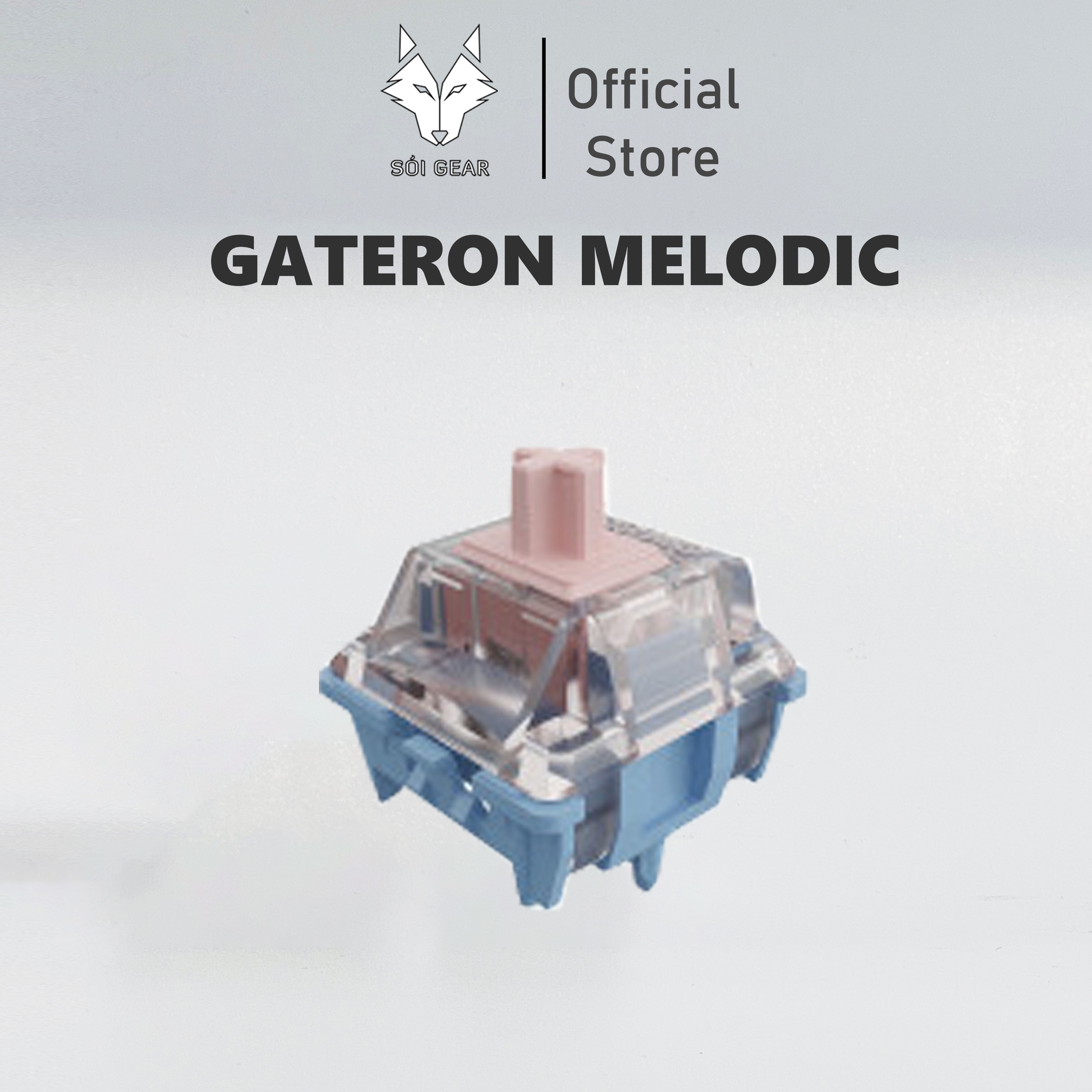 [In Stock] Switch Gateron Melodic