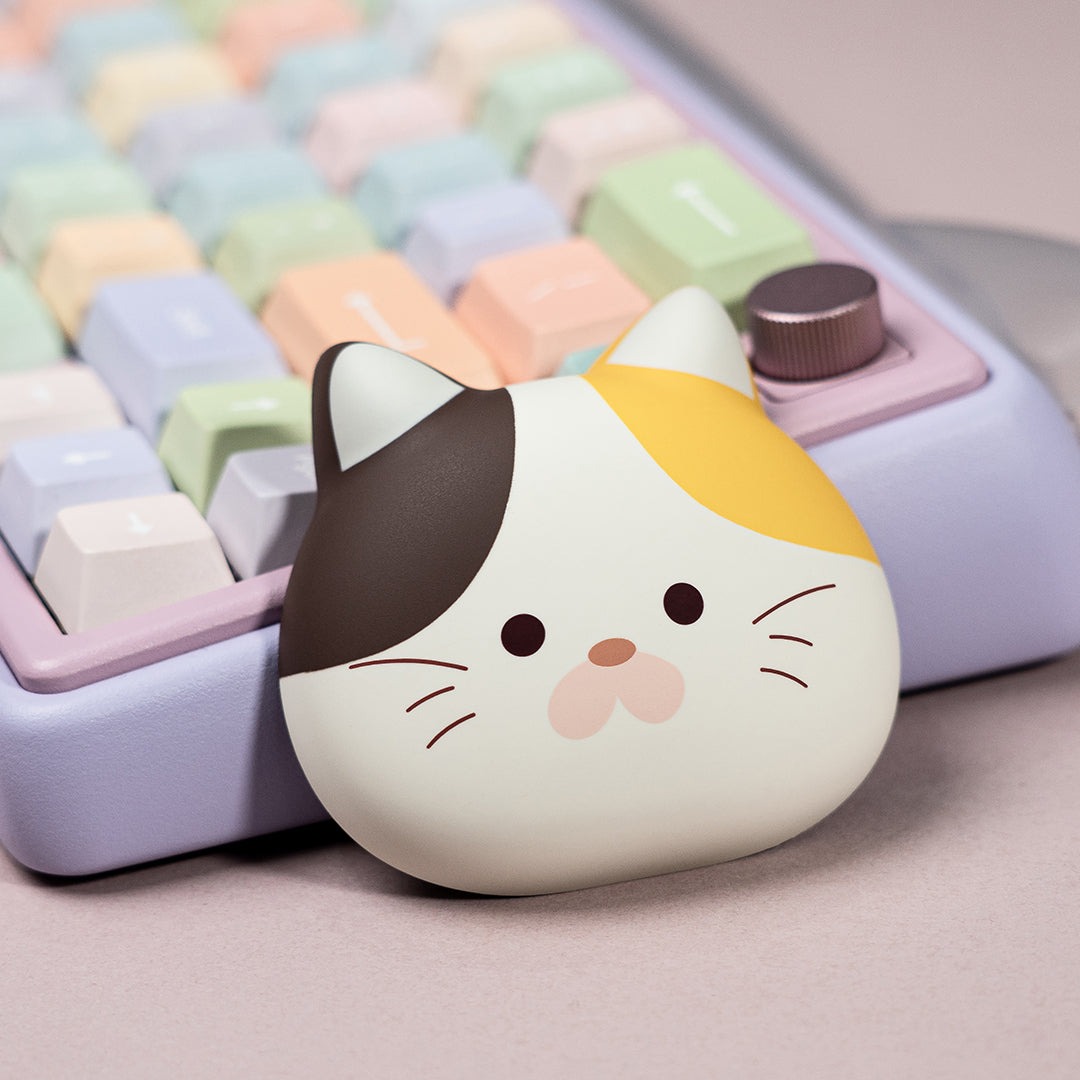 WS Wireless Extension Hub