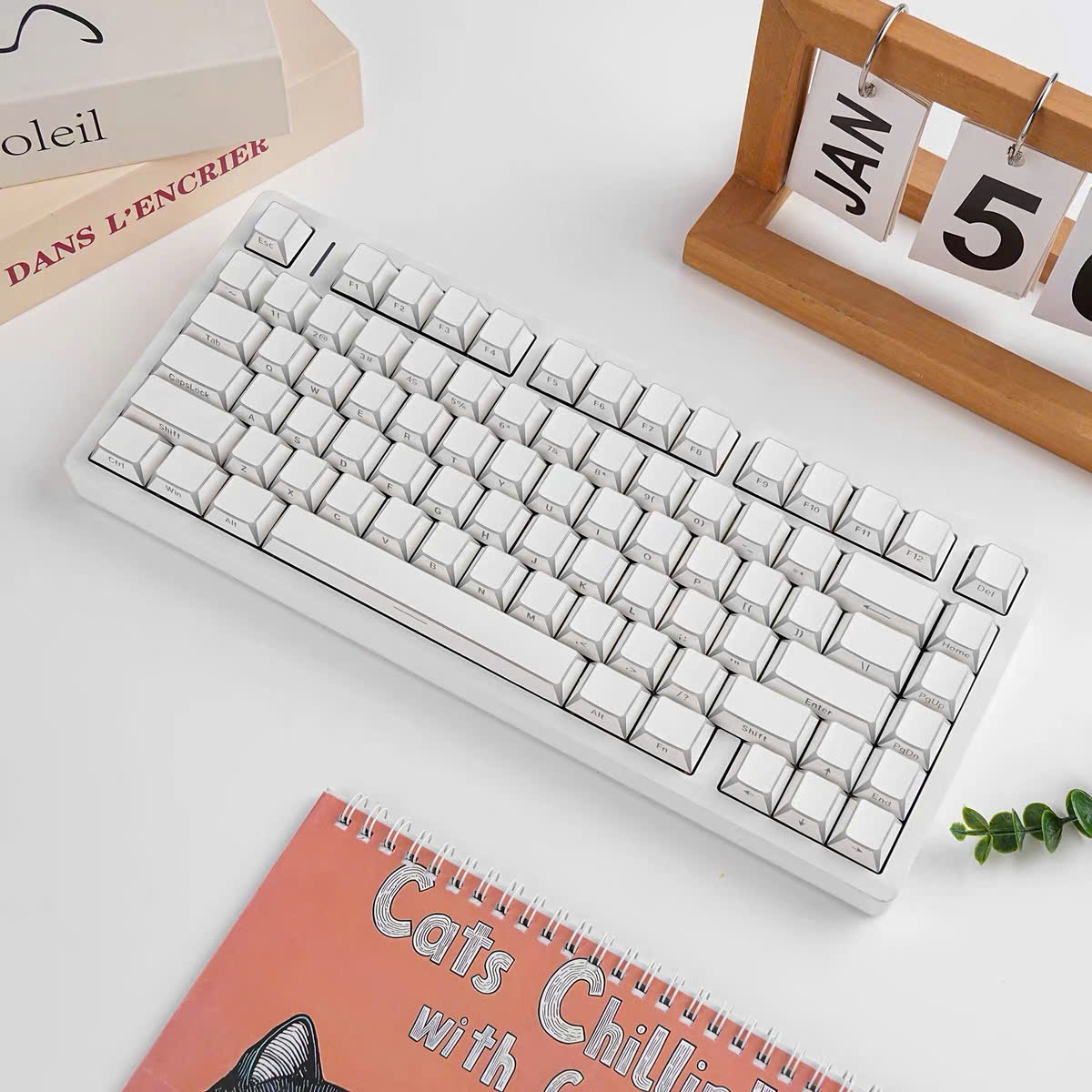 Keycap Mintcap Trắng Xuyên LED Cạnh Viền Ninja Cherry PBT