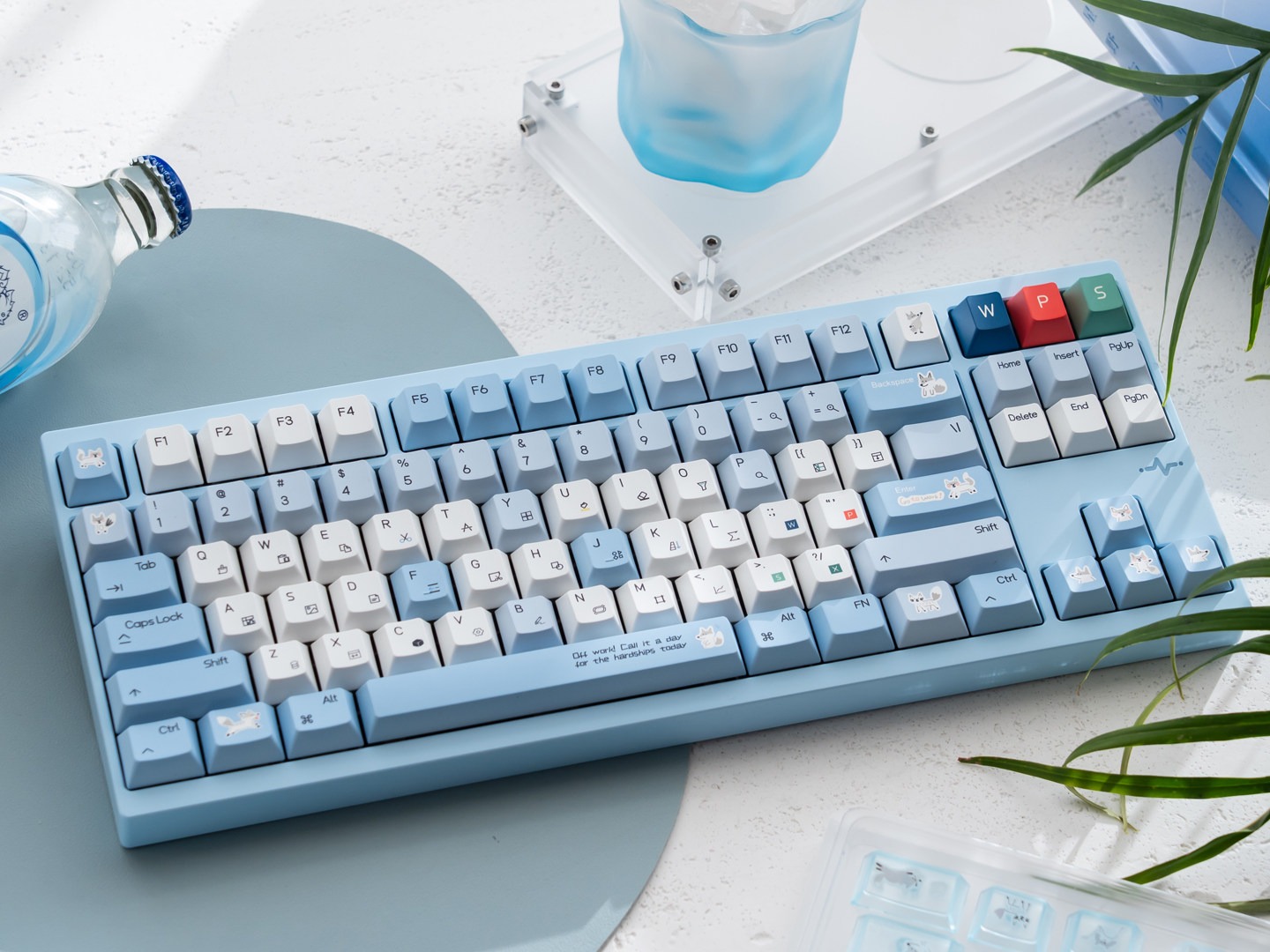 [In Stock] Keycap Cherry TapTempo Fox 1 PBT Dyesub