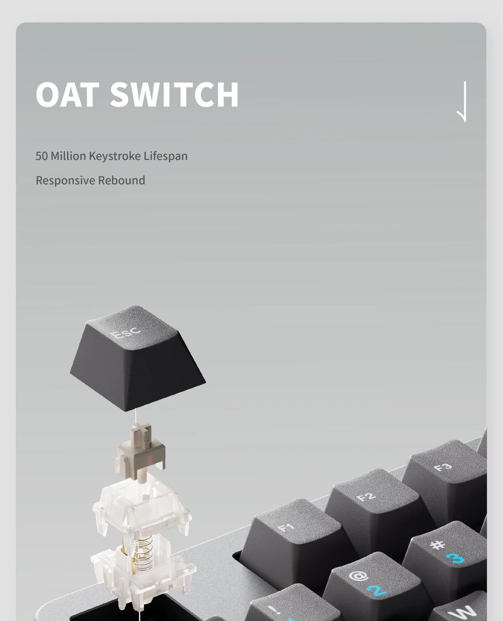 [Pre-Order] QK80 MK2 Prebuilt Keyboard