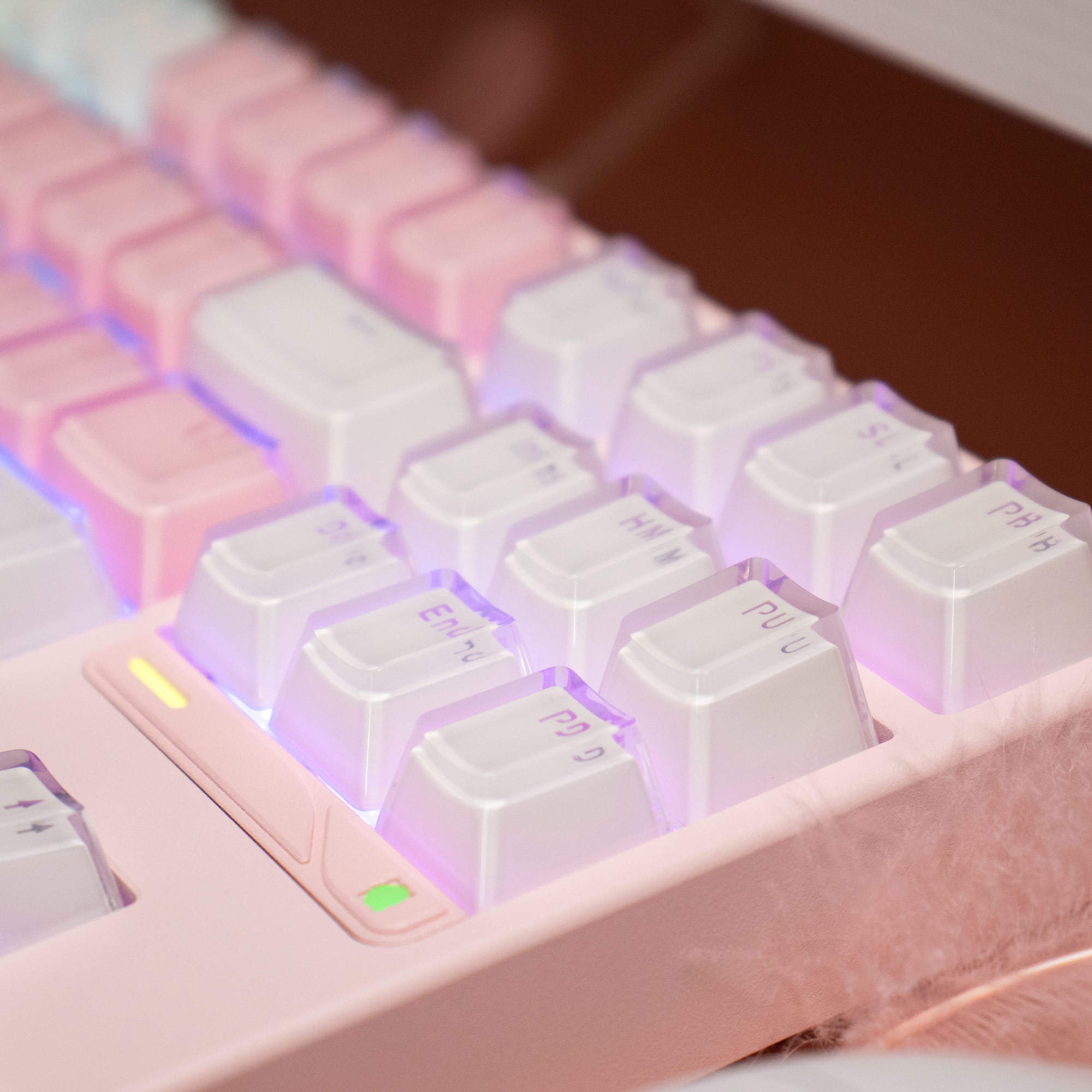 Keycap OEM Mintcaps Crystal Jelly ABS Doubleshot